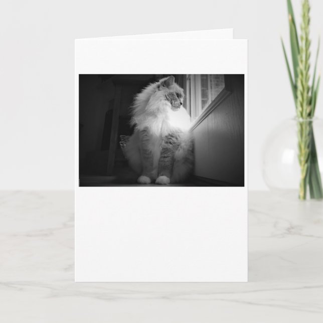 Slow Days, card (Front)