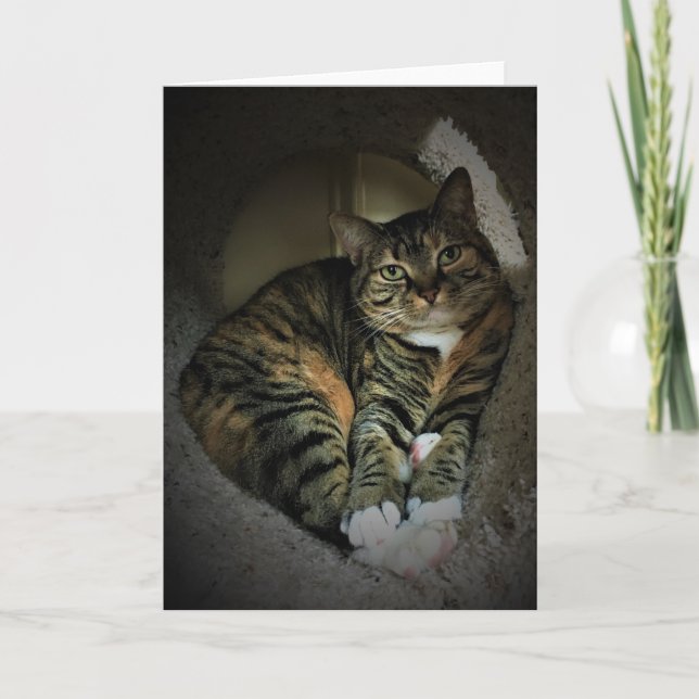 Slow Days, card (Front)