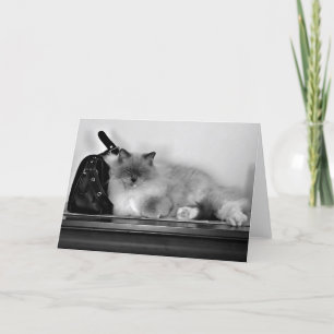 Slow Days, card