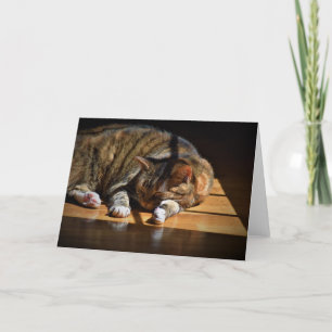 Slow Days, card