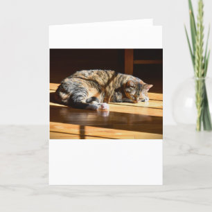 Slow Days, card