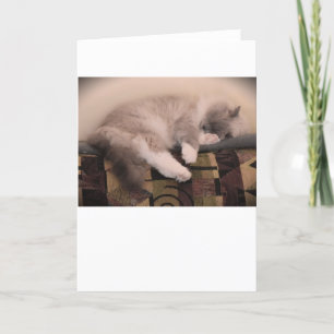 Slow Days, card