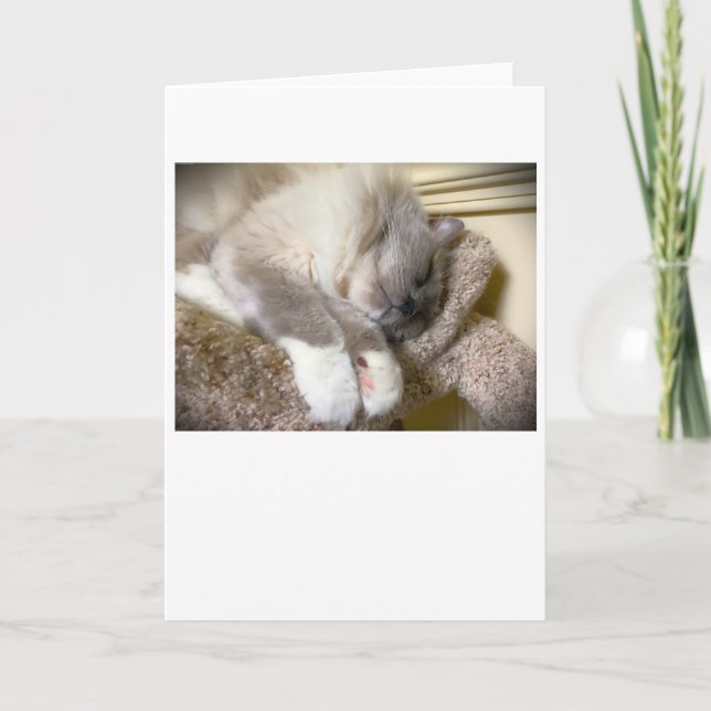 Slow Days, card (Front)