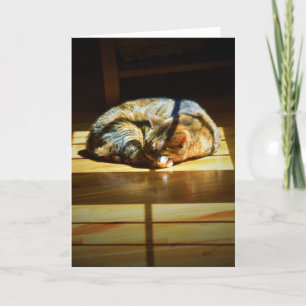 Slow Days, card