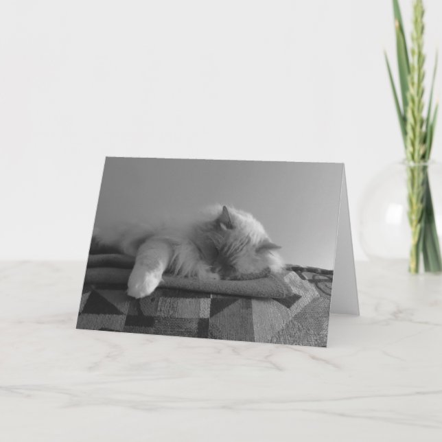 Slow Days, card (Front)