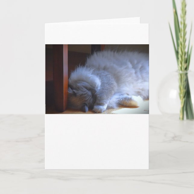 Slow Days, card (Front)