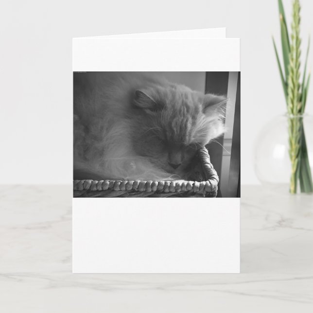 Slow Days, card (Front)