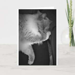 Slow Days, card