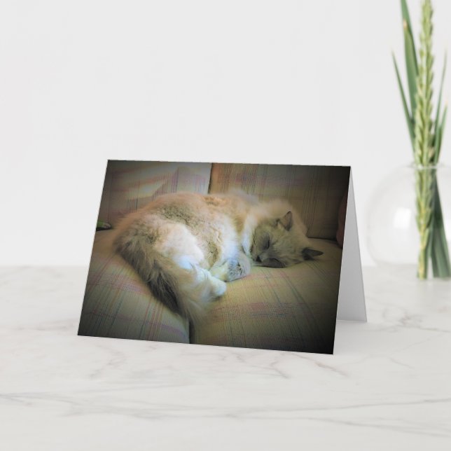 Slow Days, card (Front)