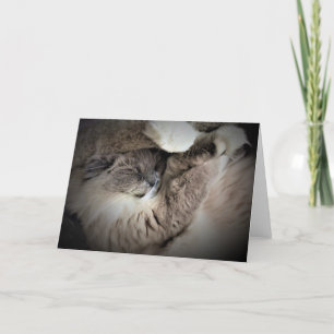 Slow Days, card