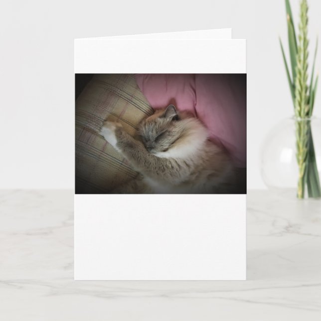 Slow Days, card (Front)