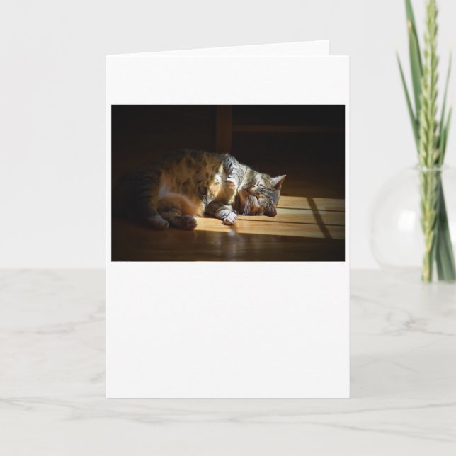 Slow Days, card (Front)