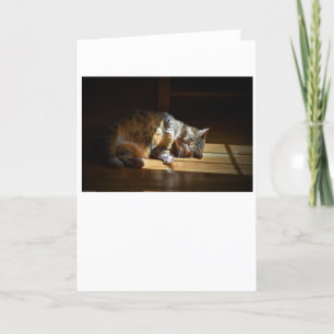 Slow Days, card