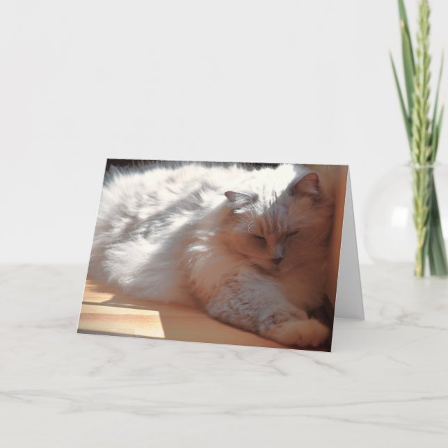 Slow Days, card (Front)