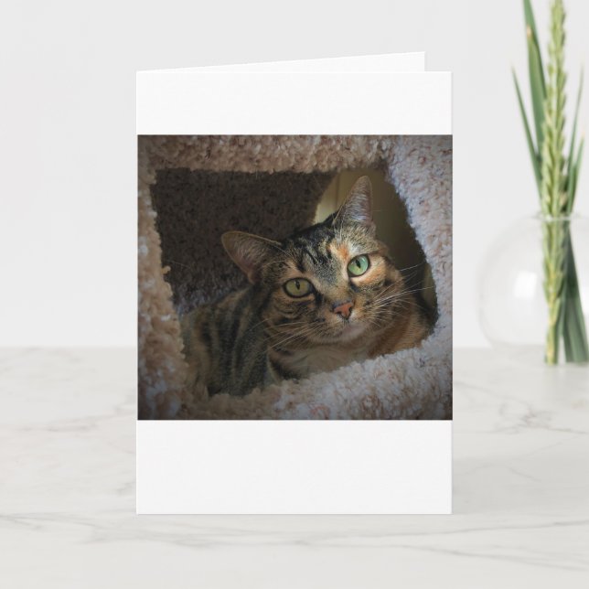 Slow Days, card (Front)