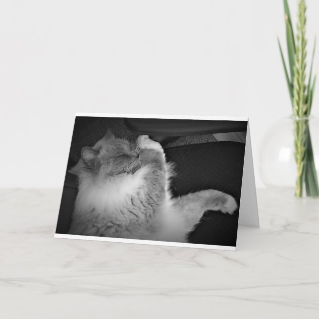 Slow Days, card (Front)