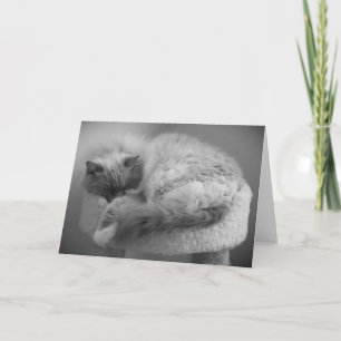 Slow Days, card