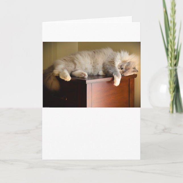 Slow Days, card (Front)