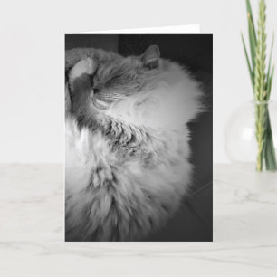 Slow Days, card