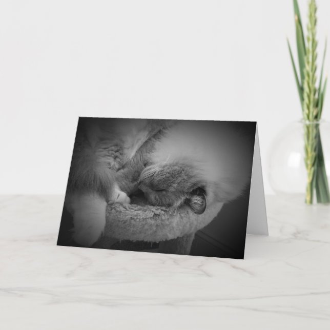 Slow Days, card (Front)