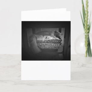 Slow Days, card