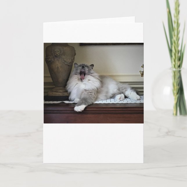 Slow Days, card (Front)