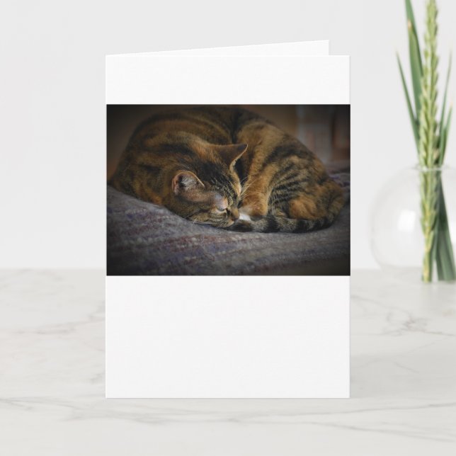Slow Days, card (Front)
