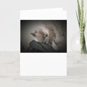 Slow Days, card