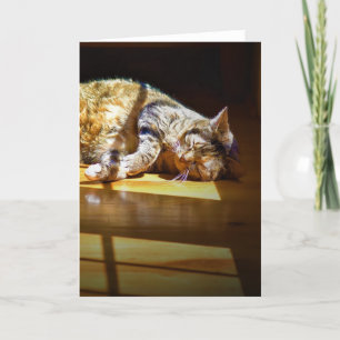 Slow Days, card