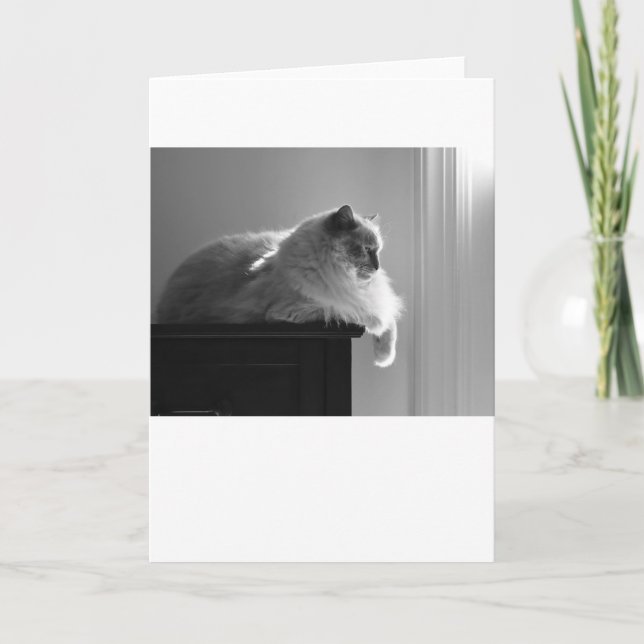 Slow Days, card (Front)