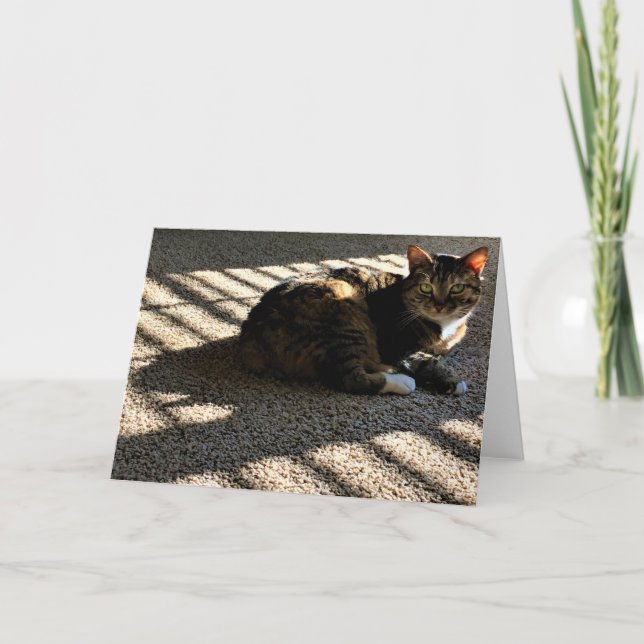 Slow Days, card (Front)