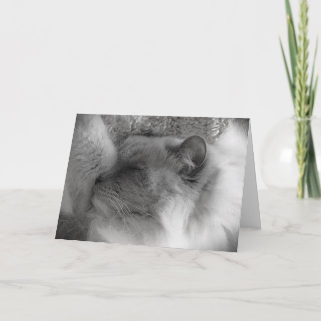 Slow Days, card (Front)