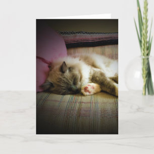 Slow Days, card