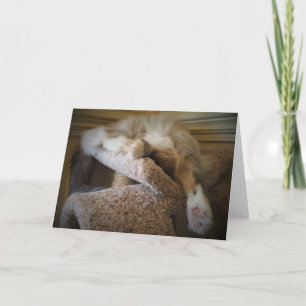 Slow Days, card