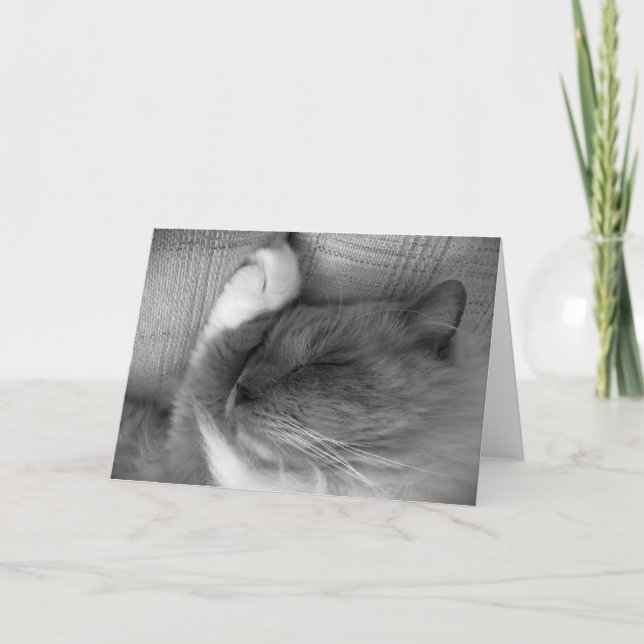 Slow Days, card (Front)