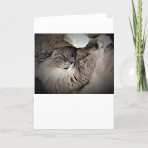 Slow Days, card