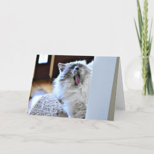 Slow Days, card