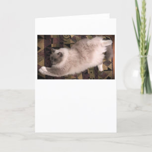 Slow Days, card