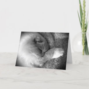 Slow Days, card
