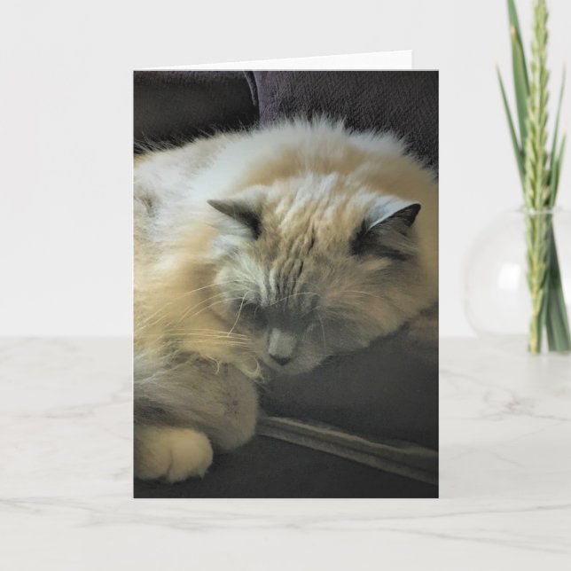 Slow Days, card (Front)