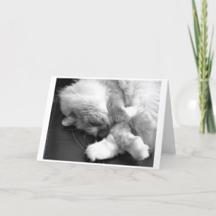 Slow Days, card