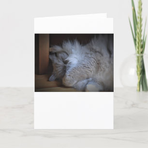 Slow Days, card