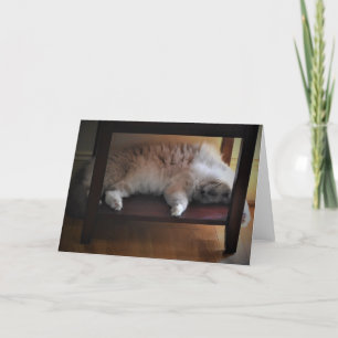 Slow Days, card