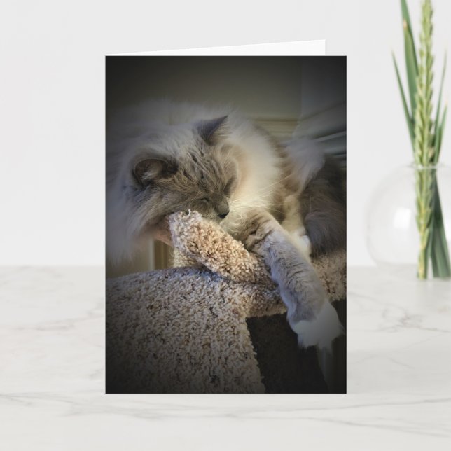 Slow Days, card (Front)