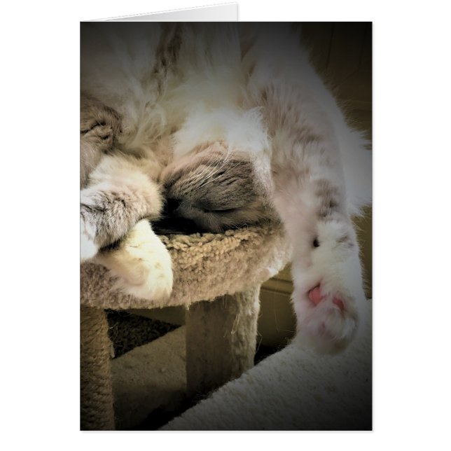 Slow Days, card (Front)