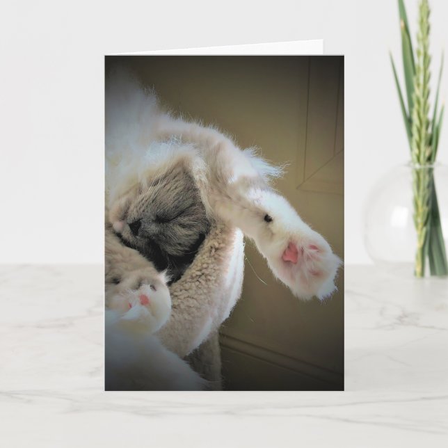 Slow Days, card (Front)