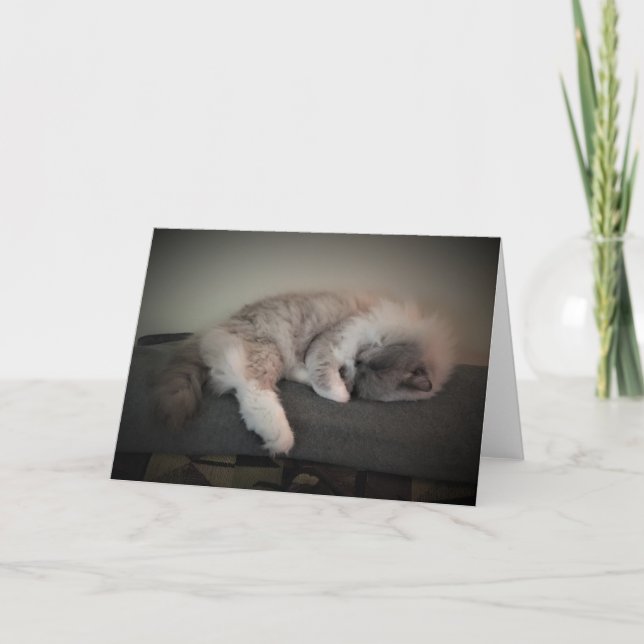 Slow Days, card (Front)