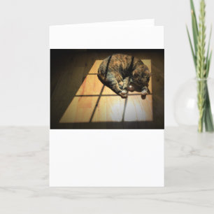 Slow Days, card