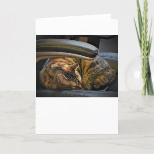 Slow Days, card