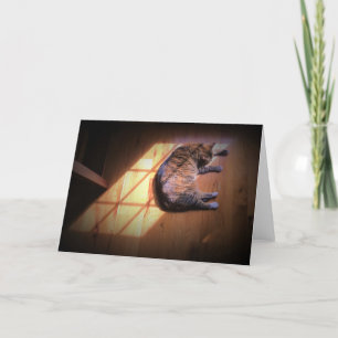 Slow Days, card